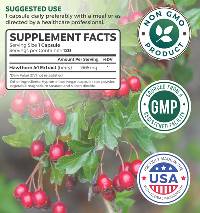 Hawthorn 4:1 Extract (120 Capsules) Supports Healthy Blood Pressure, Circulation, Heart Health & Immune Support - Powerful Antioxidant Hawthorne Supplement